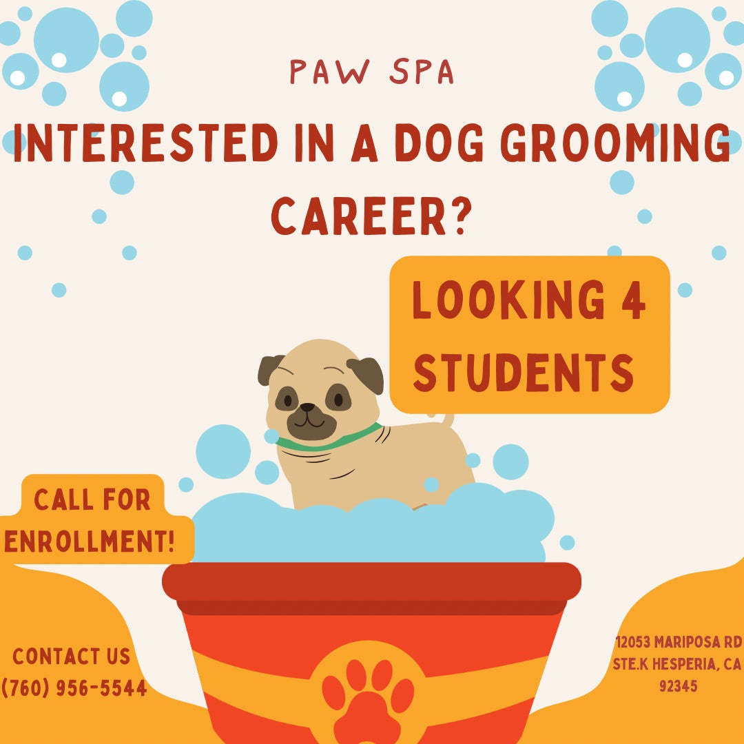 Paw Spa: In-Shop Grooming Course
